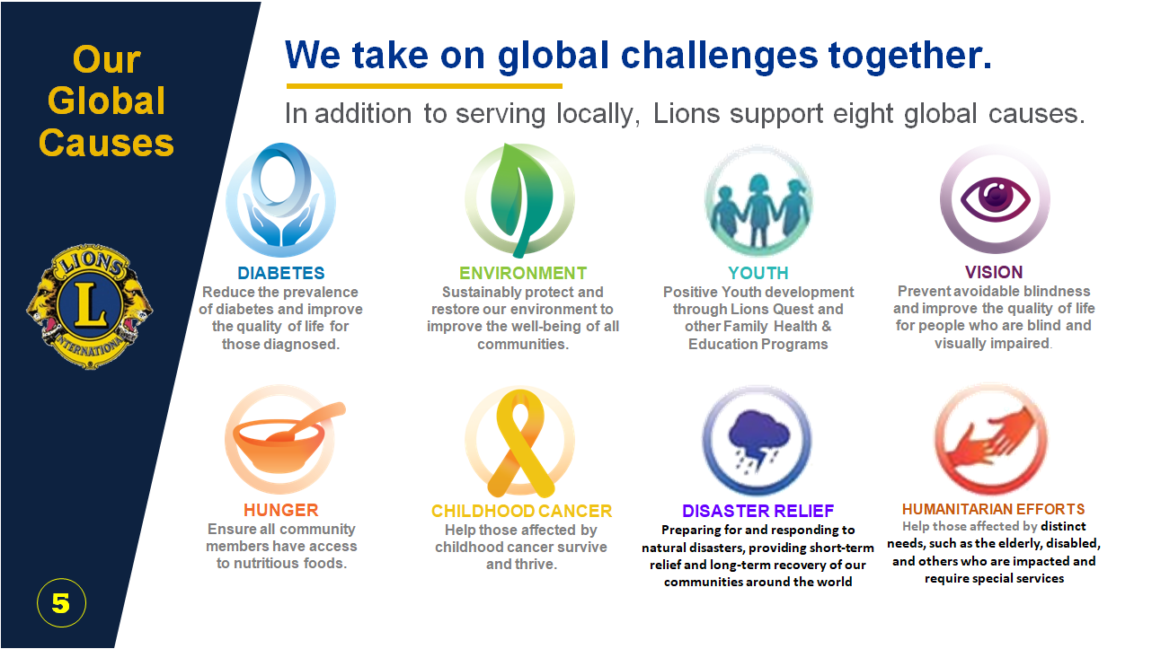 Lions International Our Global Causes — Diabetes, Environment, Youth, Vision, Hunger, Childhood Cancer, Disaster Relief, Humanitarian Efforts