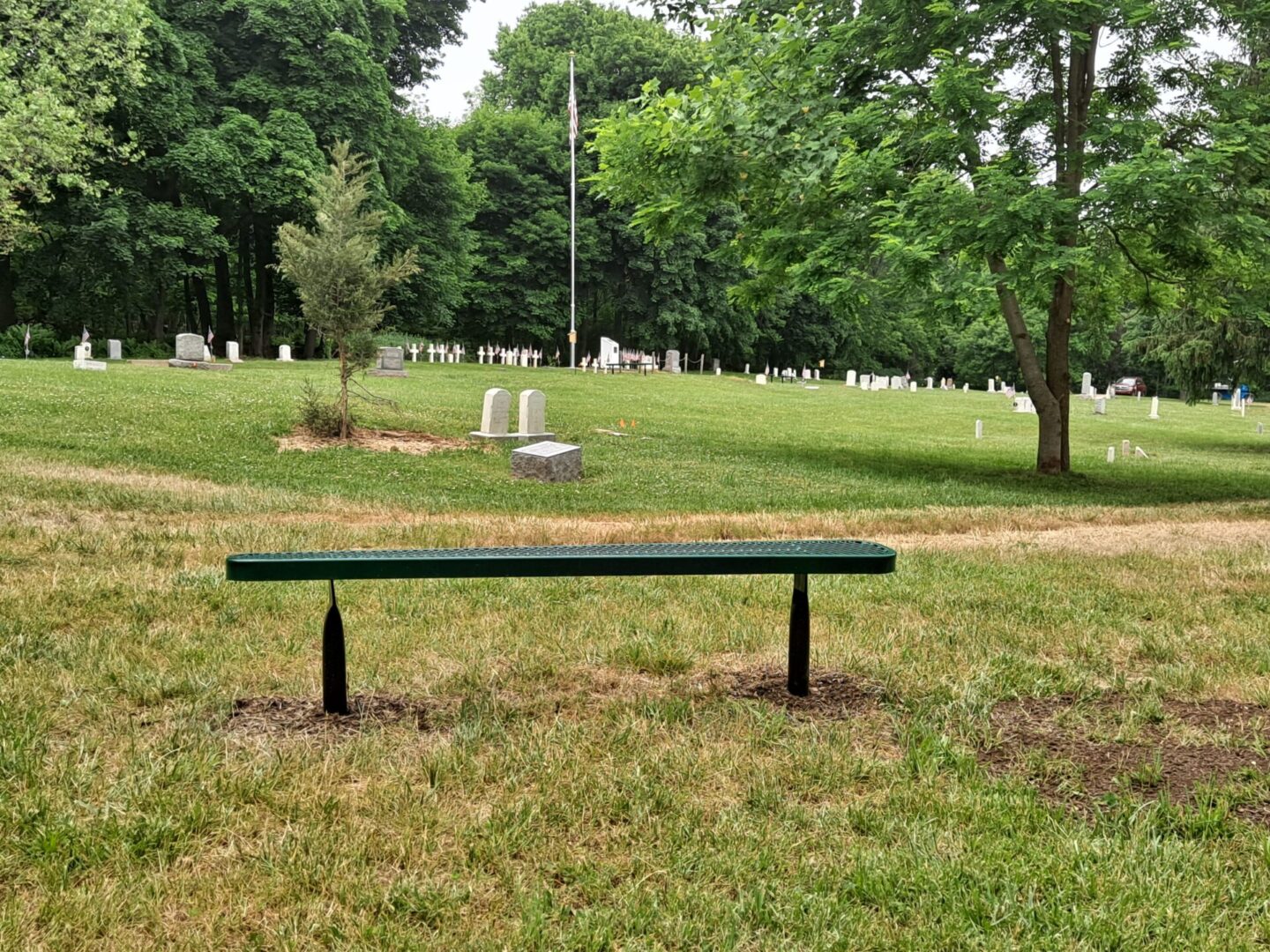 Closeup view of a bench with trees and grass